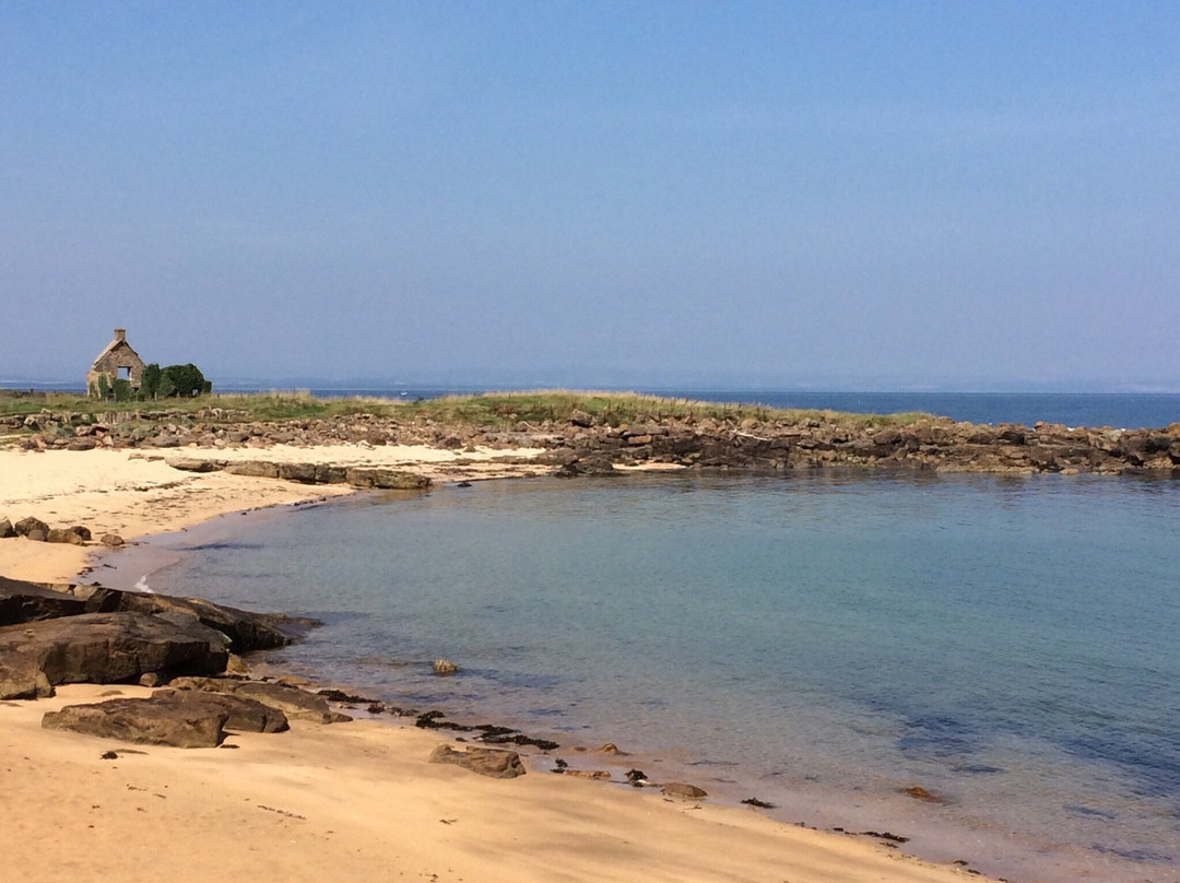 Kingsbarns旅游攻略图片