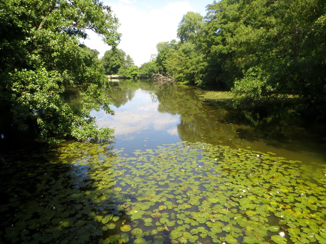 Chiddingstone旅游攻略图片