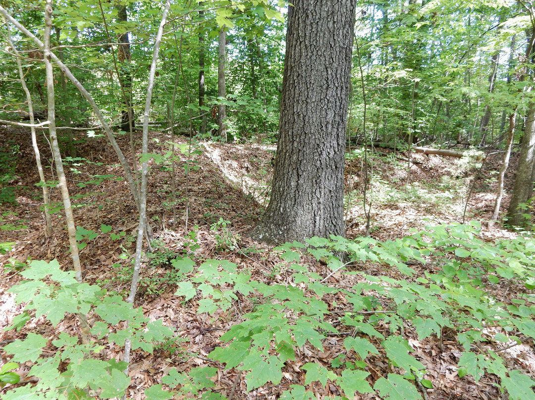 North Anna Battlefield Park-多斯韦尔必去景点