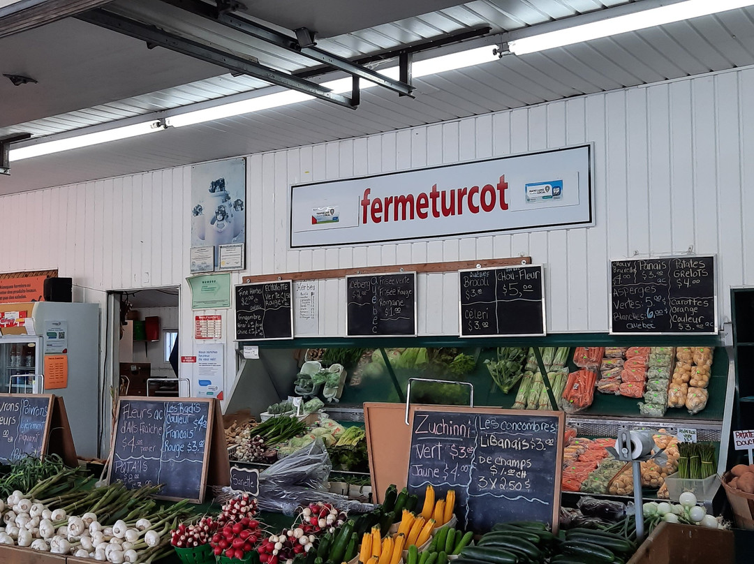 Ferme F Turcot Et Fils-拉瓦尔必去景点