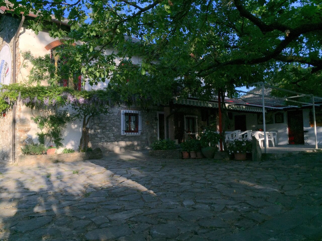 Agriturismo Il Burlino Apartments