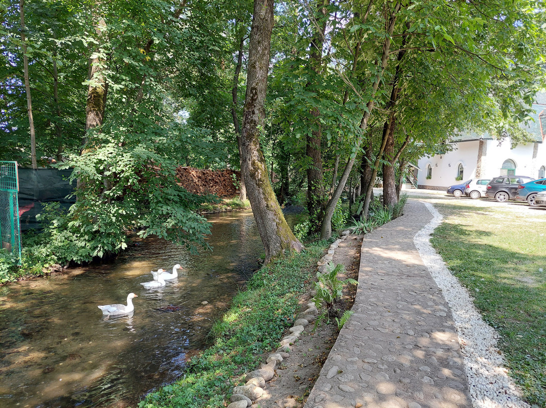 Domeniul Jaleș