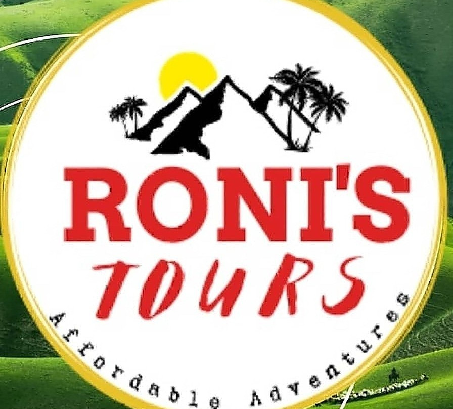 Roni’s Tours -sumatra Tour Guide-武吉丁宜必去景点