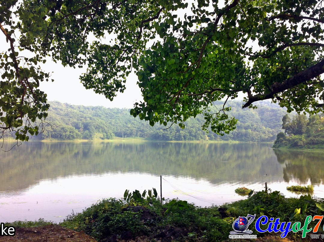 Rupa Lake景点图片