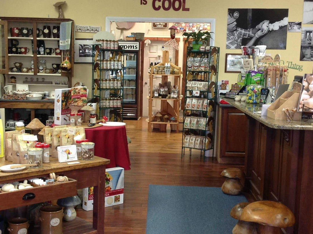 Avondale旅游景点-The Mushroom Cap