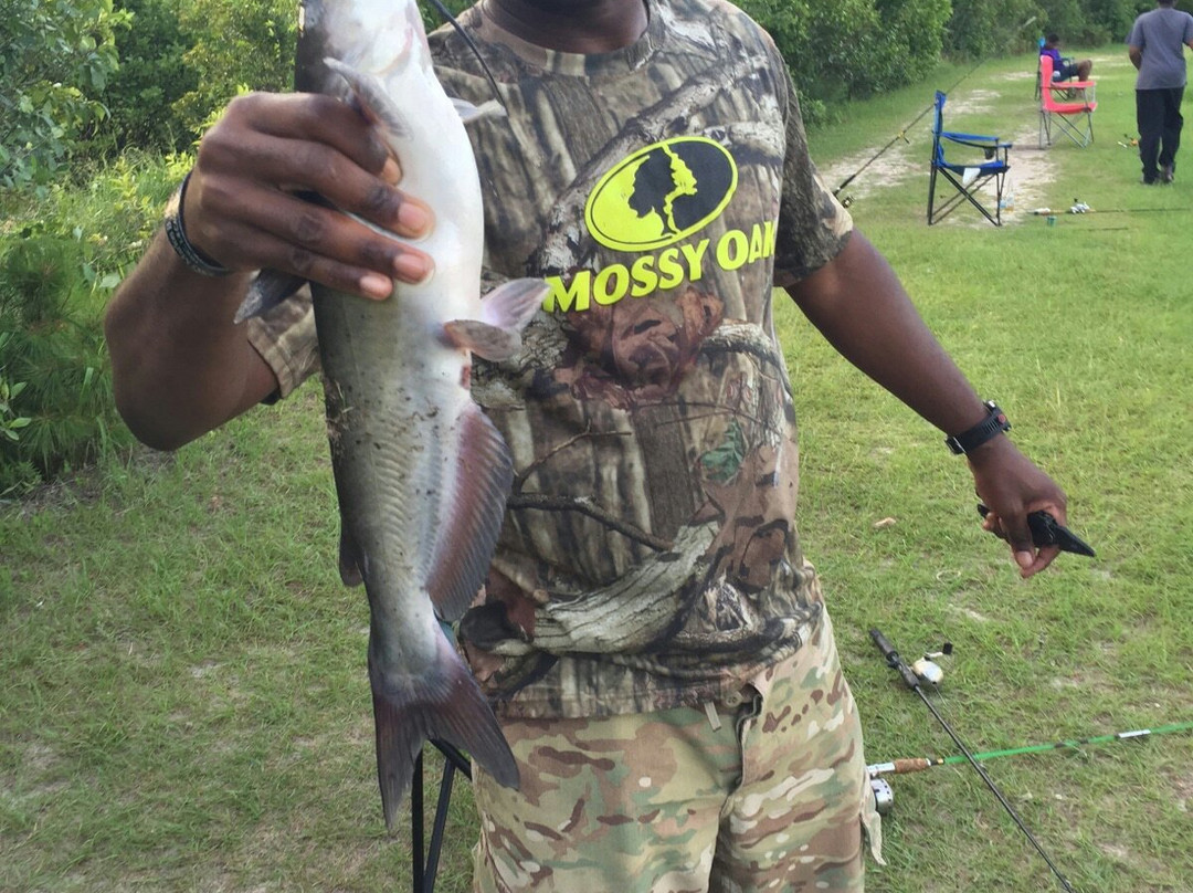 Flemington旅游景点-Holbrook Pond Recreation Area