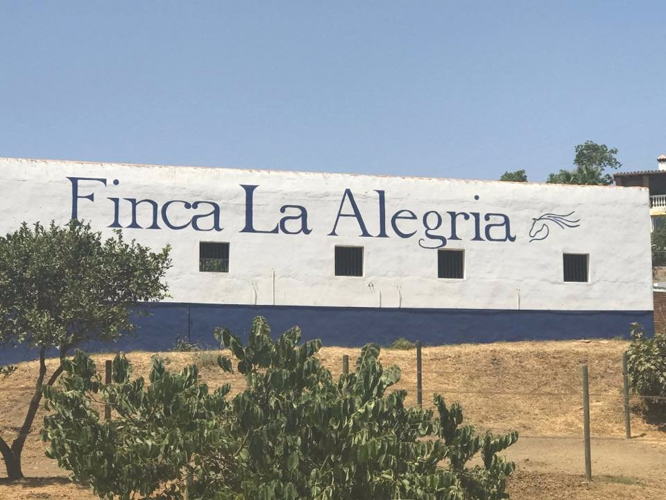 Finca La Alegria景点图片