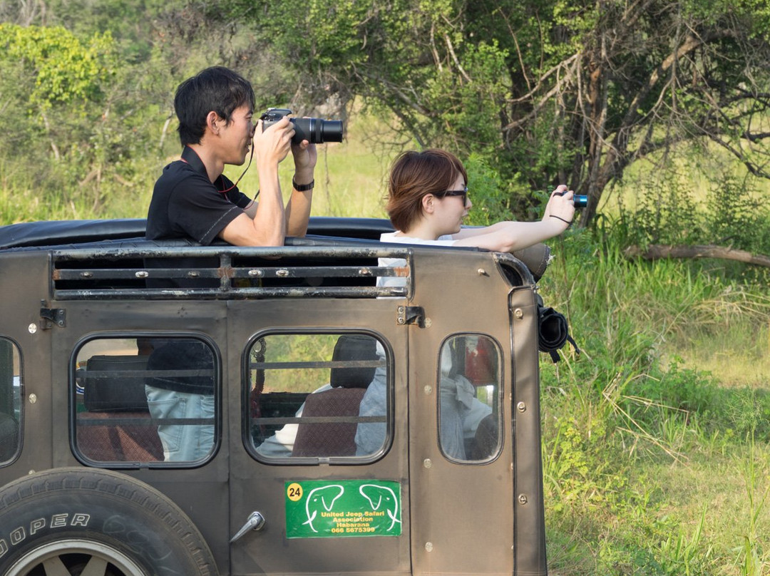 Minneriya Nimal Safari
