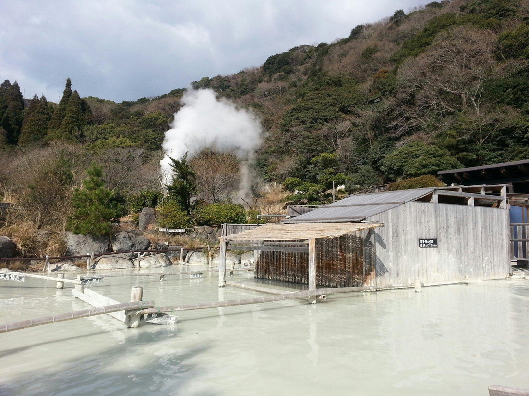 Beppu Onsen Hoyo Land Konya Jigoku景点图片