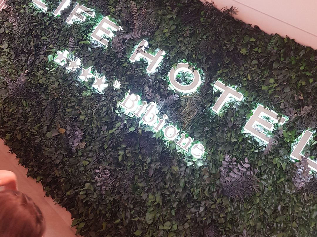 Life Hotel 4 Superior