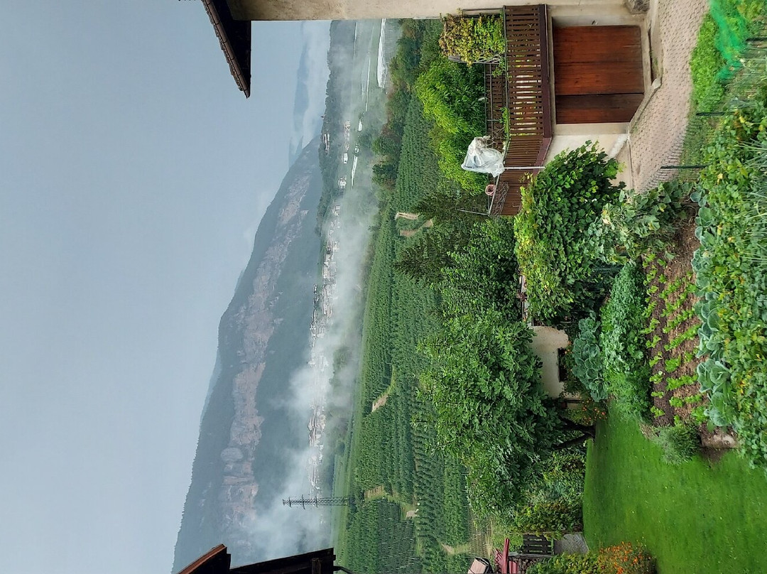 B&B Vivi L'Attimo
