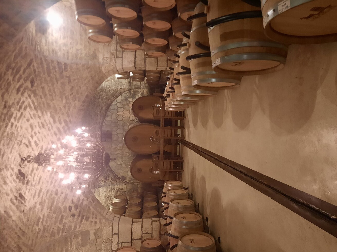 Licorna Winehouse-Mizil必去景点