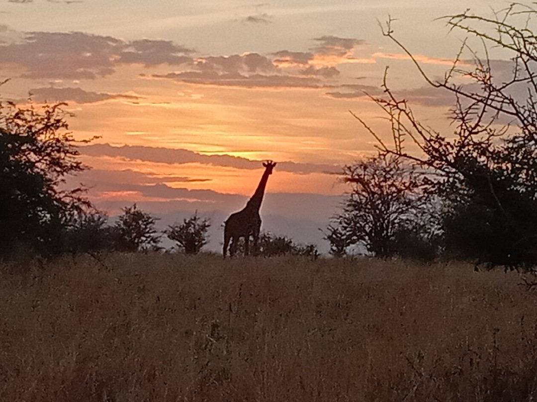Explorian Safaris景点图片