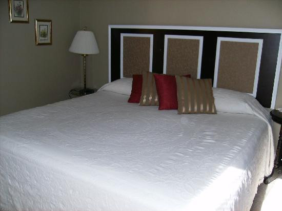 The White House主图