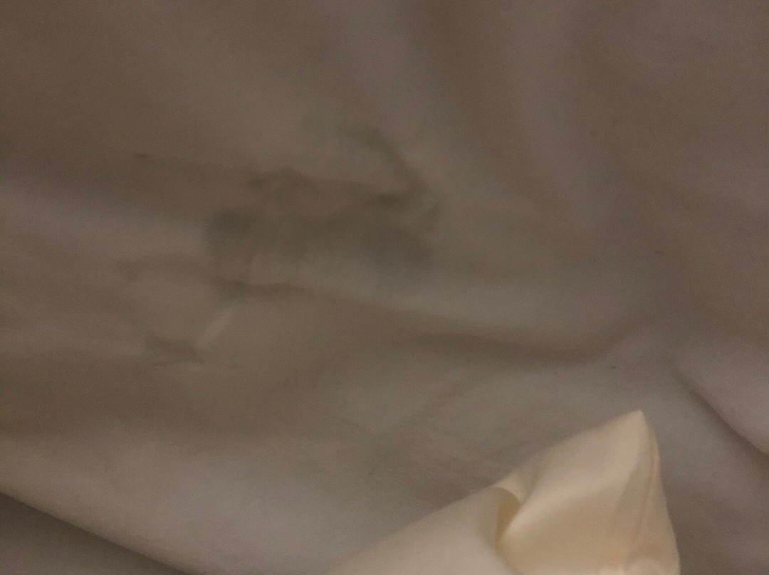 Country Hearth Inn & Suites主图