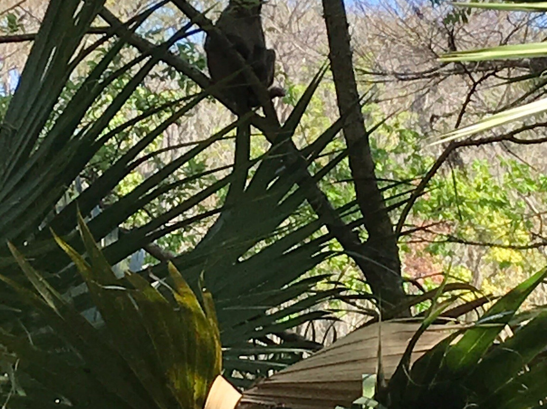 Silver Springs Kayaking LLC-Silver Springs必去景点