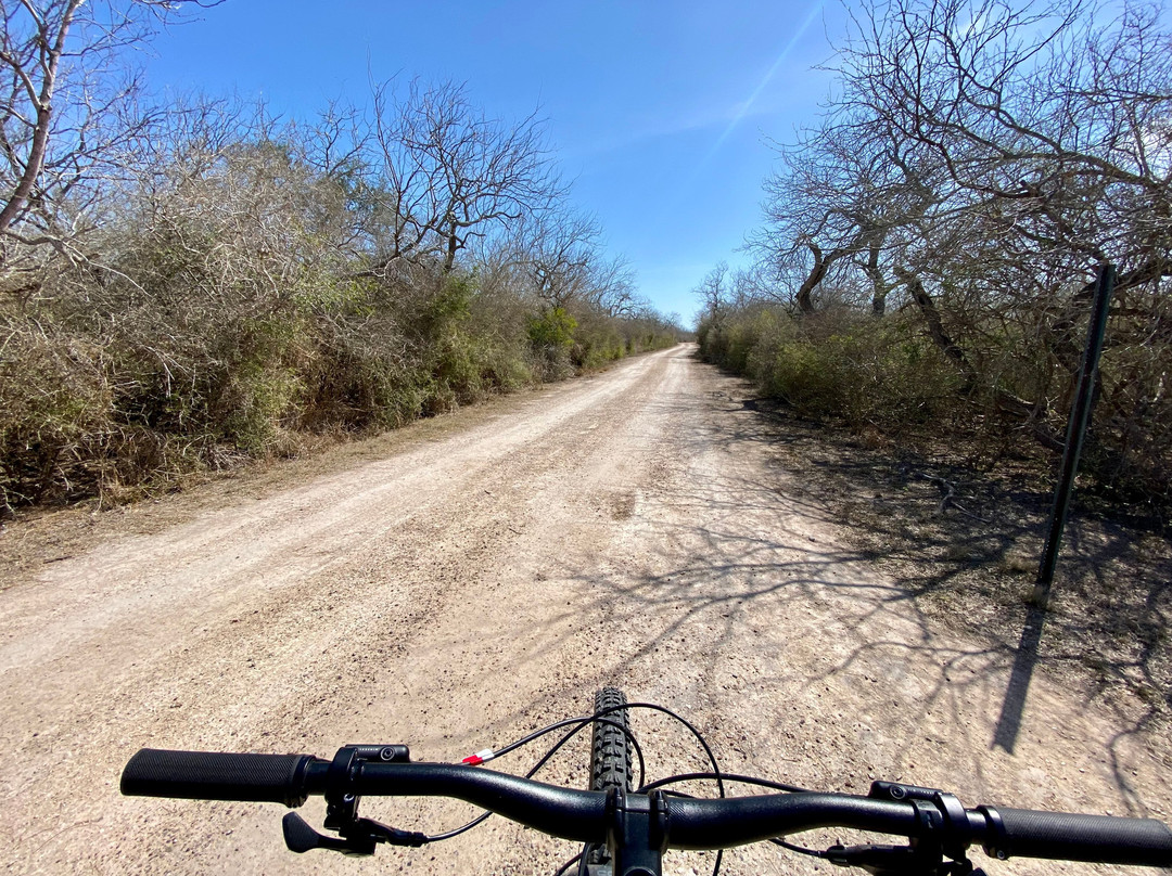 Laguna Atascosa National Wildlife Refuge-德克萨斯州墨西哥湾沿岸必去景点