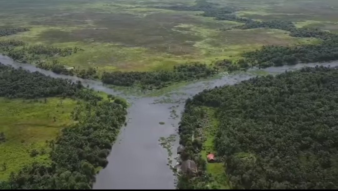 Orinoco Delta Lodge主图