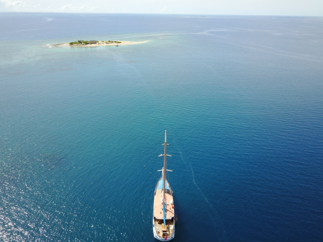 Whale's Tale Cruises Fiji景点图片