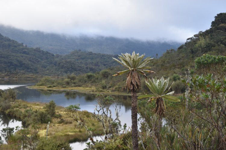 Laguna la Tarea-Zetaquira必去景点