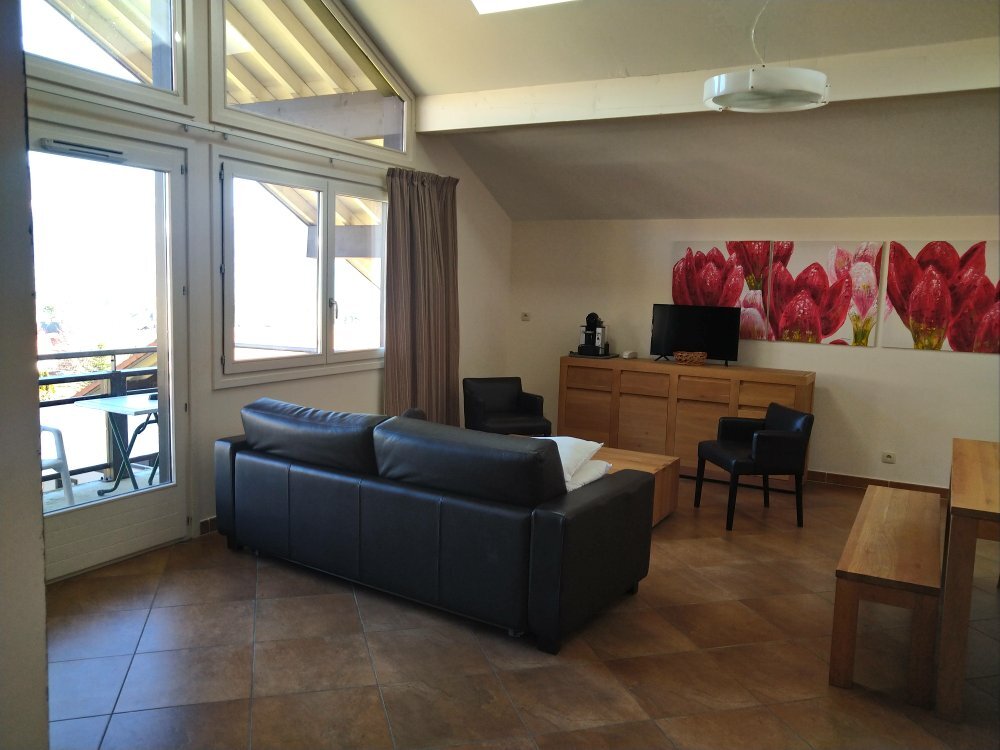 Residence hoteliere spa Les Chataigniers-官方
