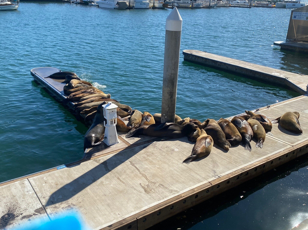 Burton W. Chace Park-玛丽安德尔湾必去景点