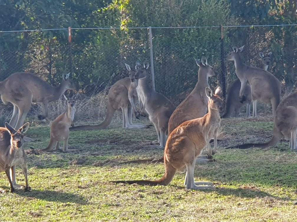 South West Eco Discoveries-戴士柏必去景点