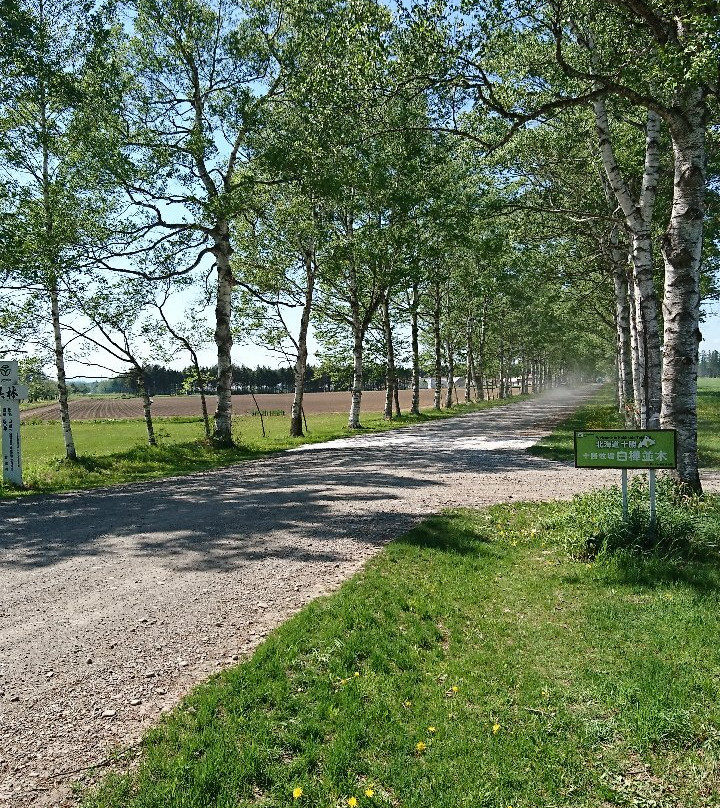 Tokachi Farm Observatory-音更町必去景点