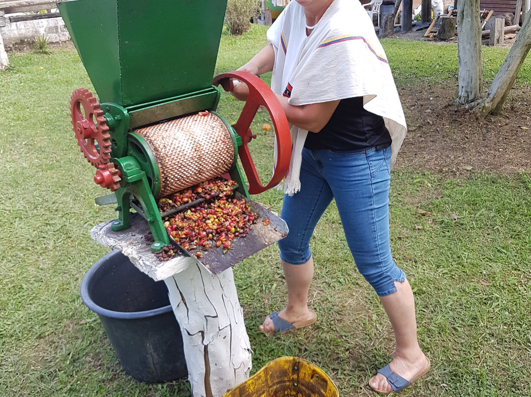 Filandia Bike-Filandia必去景点