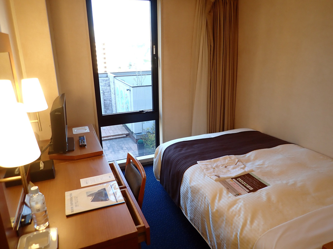 Iwaki Washington Hotel主图
