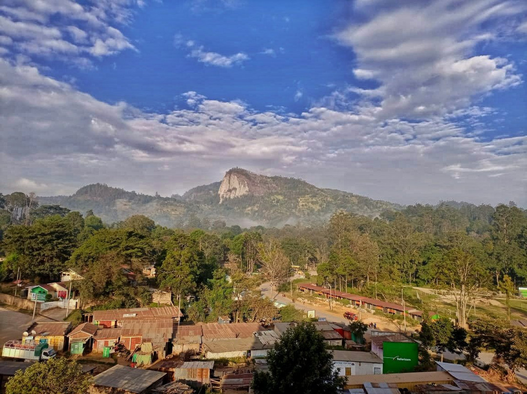 Taita Luxury Hotels