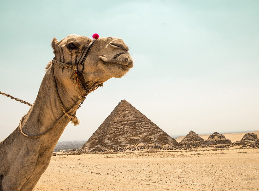 Luna Travel Egypt-吉萨必去景点