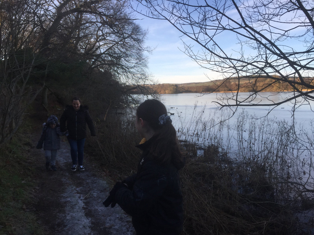 Balgavies Loch-Forfar必去景点