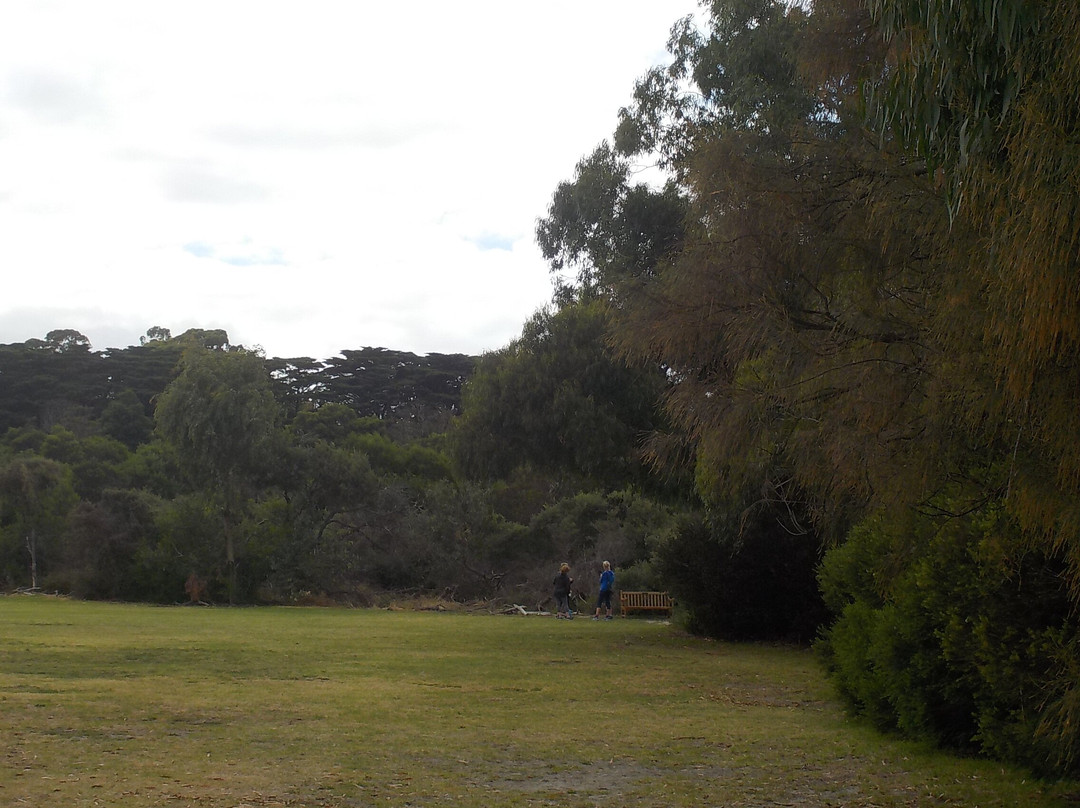 Balcombe Park景点图片