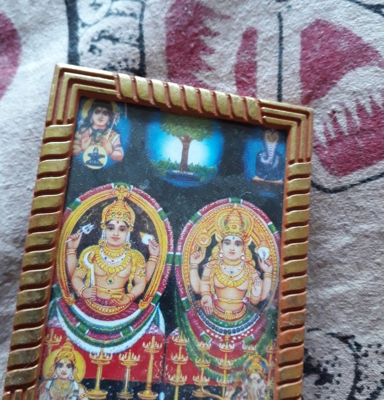 Chottanikkara Temple景点图片