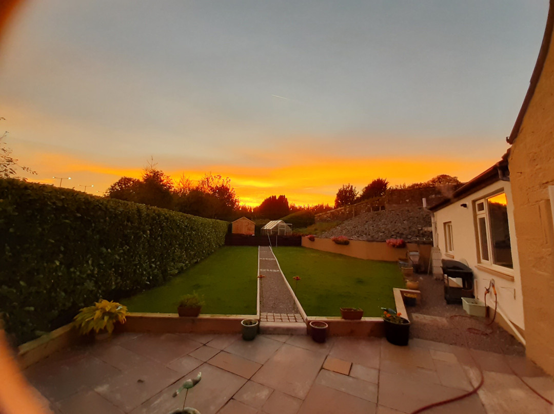 Alexander House主图