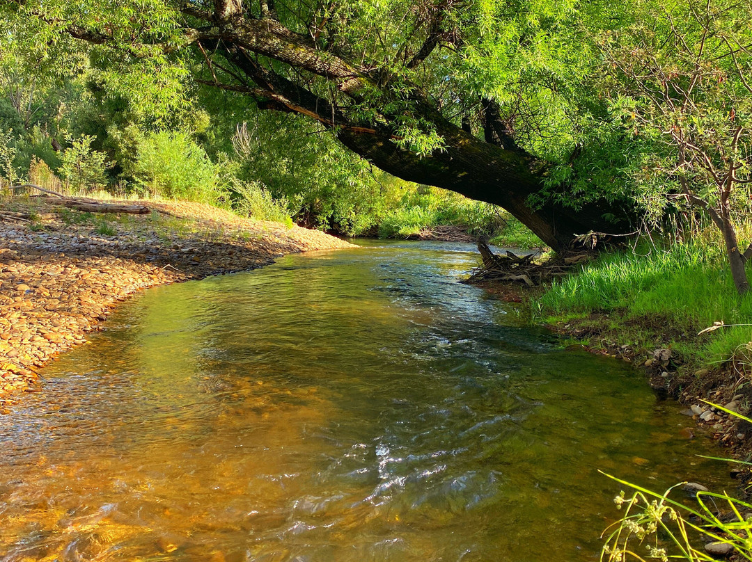 Buffalo Motel and Country Retreat主图