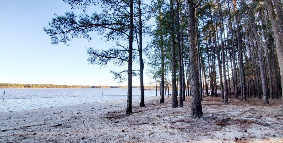 Jordan Lake State Recreation Area景点图片