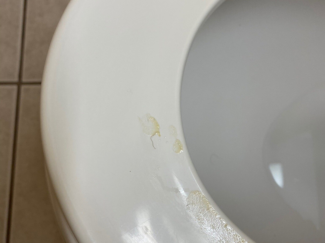 普林斯顿麦克罗特客栈&套房酒店主图