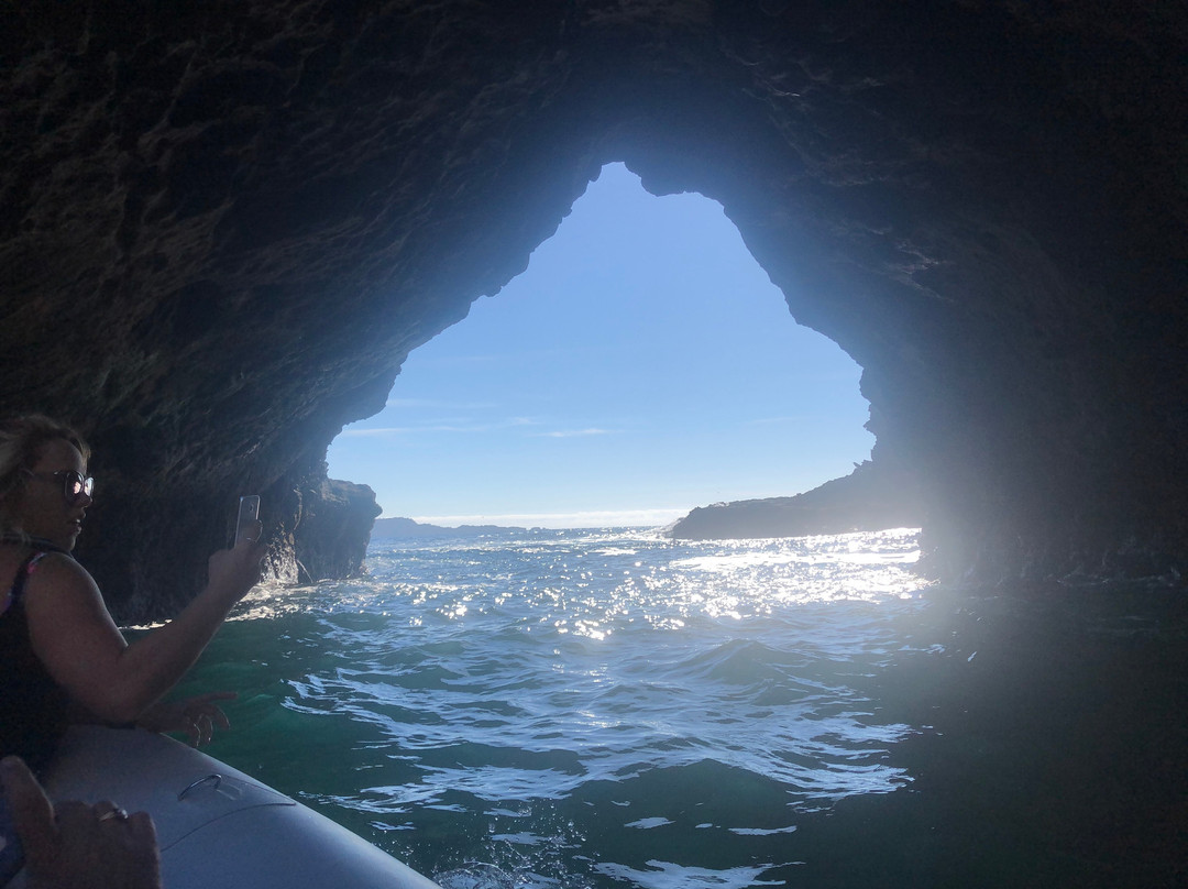 Sea Cave Adventures-菲蒂昂格必去景点