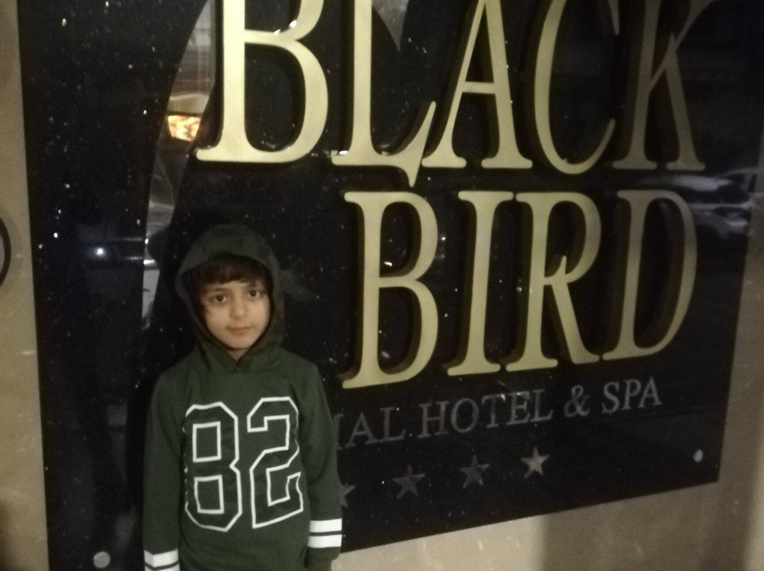 Black Bird Thermal Hotel & Spa主图