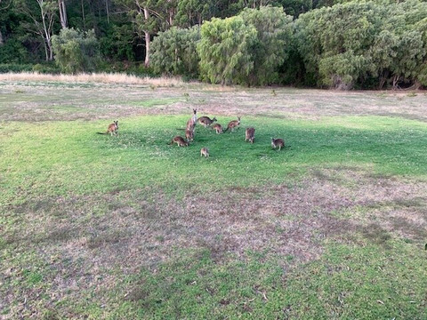 Rainbow Trail Chalets主图