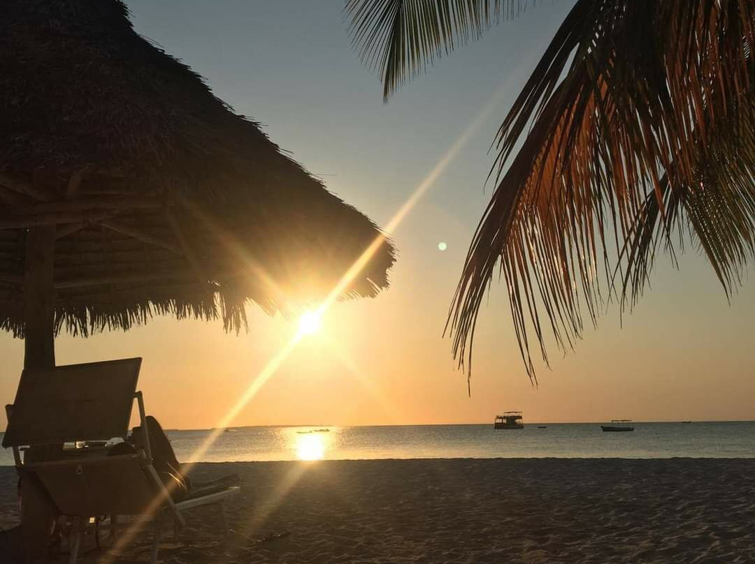 Coastal Safaris Tours-桑给巴尔岛必去景点