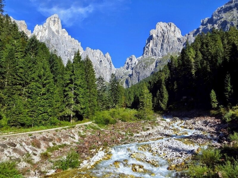 Parco Naturale Paneveggio Pale di San Martino景点图片