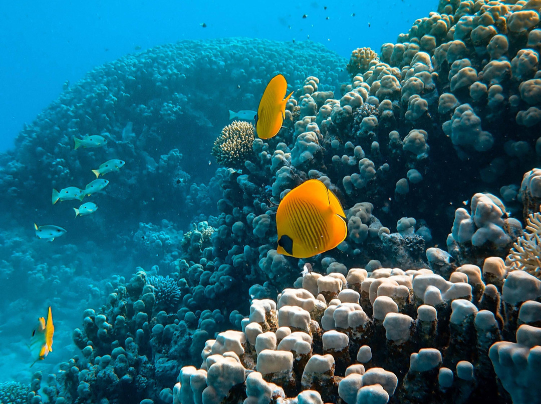 Zephyr Maui-基黑必去景点