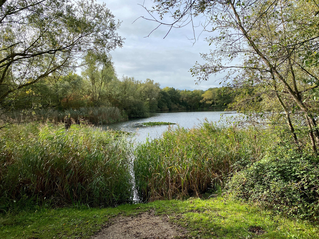 Belhus Wood Country park景点图片