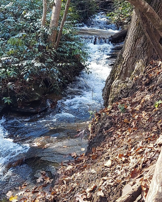 The Cascades Trail景点图片