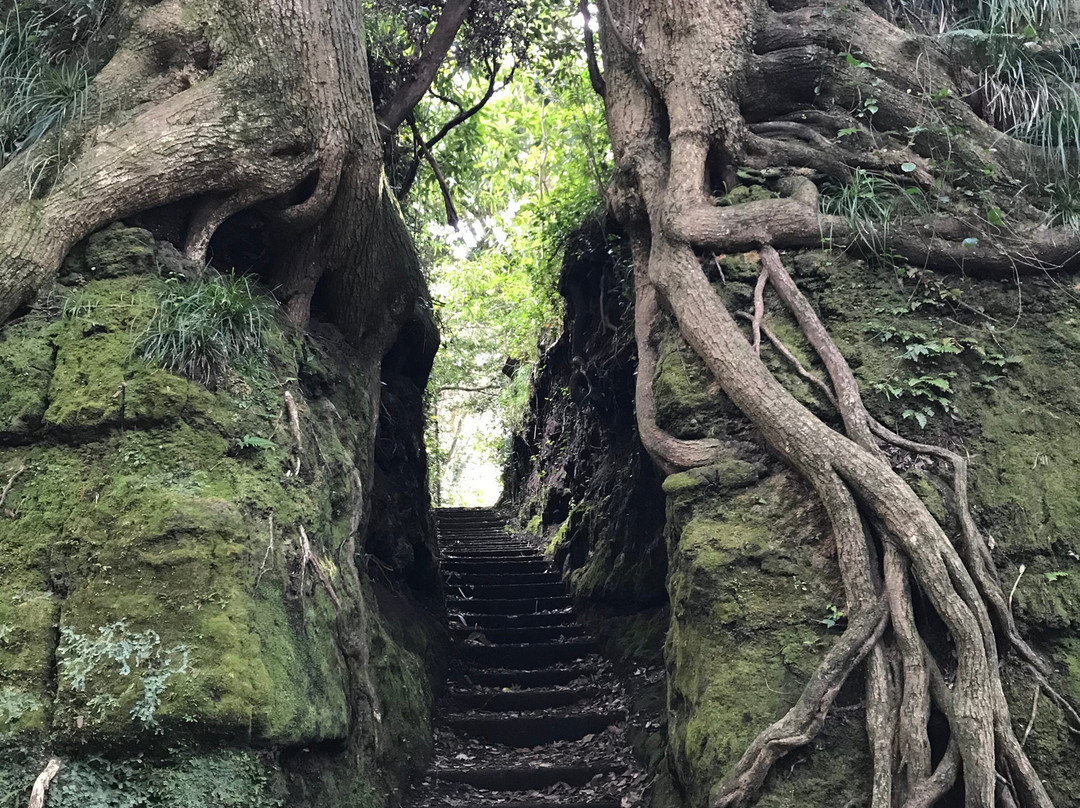 Senzu no Kiridoshi-大岛町必去景点
