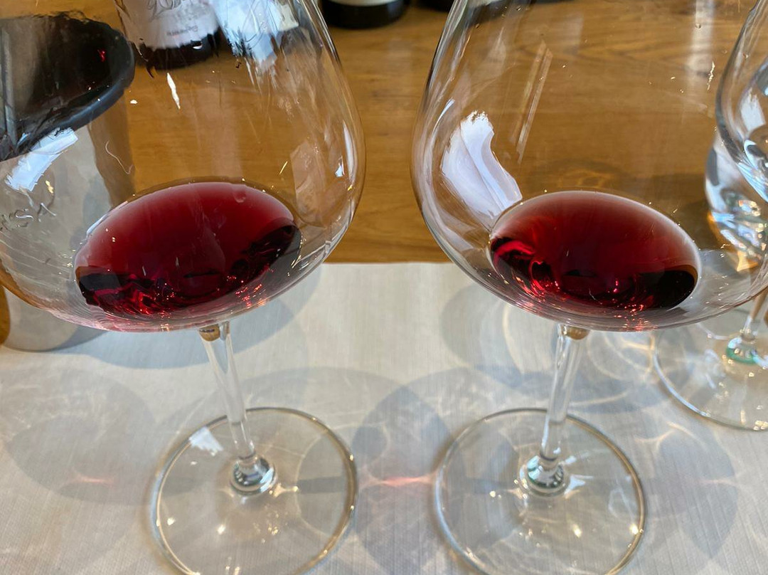 Azienda Agricola G.D. Vajra, Barolo-巴罗洛必去景点
