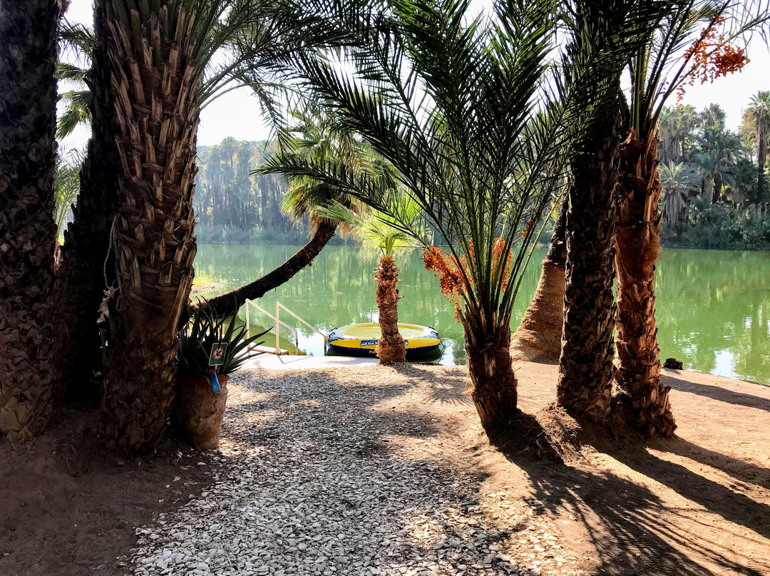 Ignacio Springs Bed & Breakfast主图